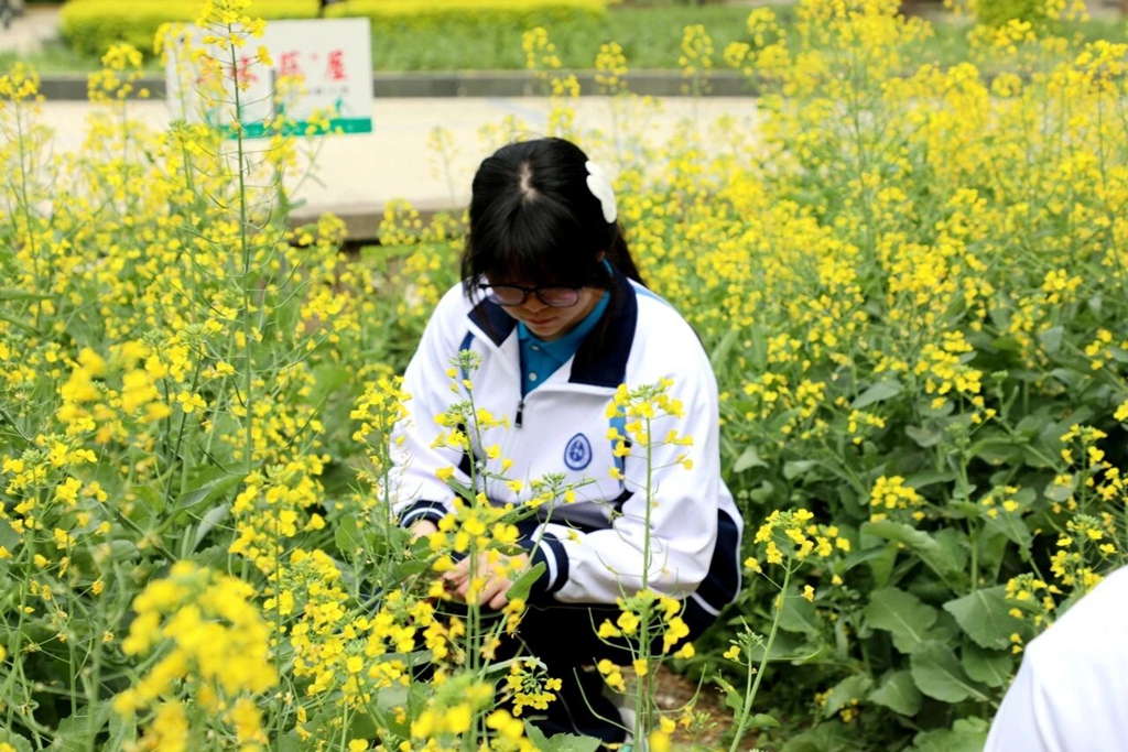 西安工业大学附属中学：知行合一・校内赋能——蓄力向上，丰富校园成长舞台