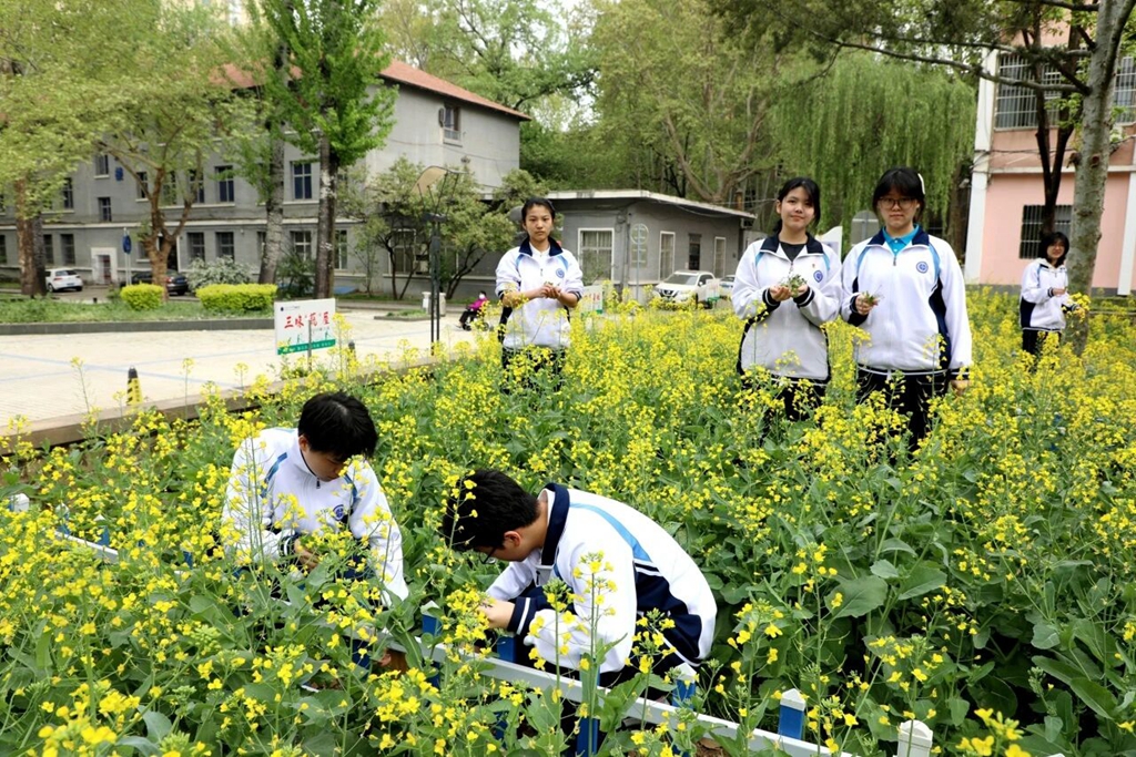 西安工业大学附属中学:知行合一・校内赋能——蓄力向上,丰富校园成长舞台