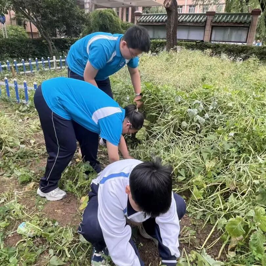 西安工业大学附属中学：知行合一・校内赋能——蓄力向上，丰富校园成长舞台