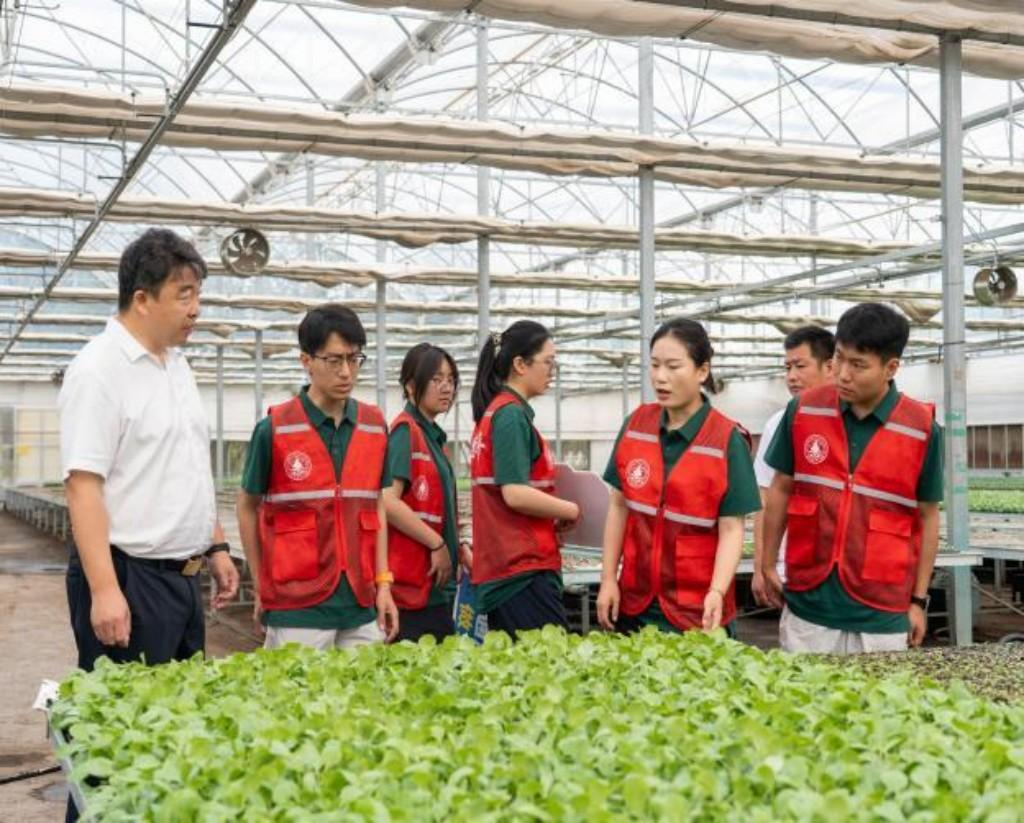 西安明德理工学院学子赴河南郑州开展暑期社会实践活动