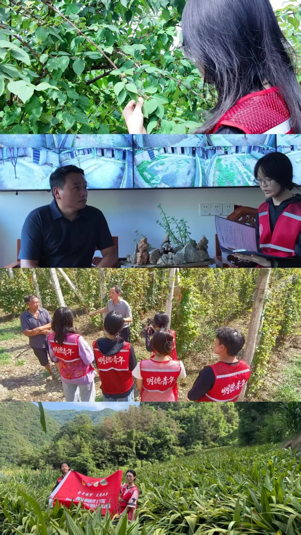 西安明德理工学院“赤青逐梦·文药兴乡”实践团赴陕西山阳开展暑期社会实践